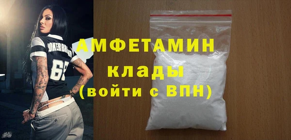 индика Володарск