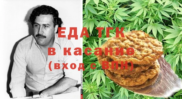 индика Вязьма