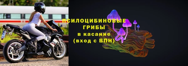 индика Вязьма