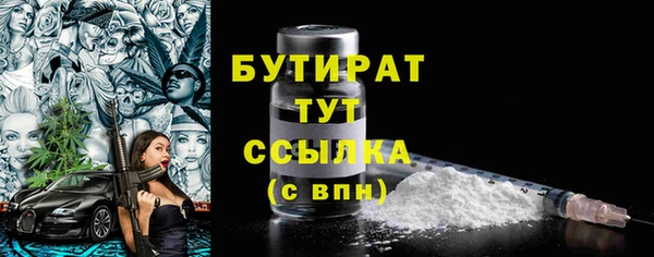 индика Вязьма