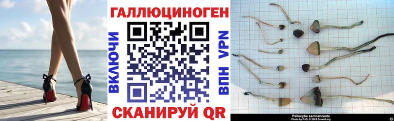 как найти наркотики  Дно  Галлюциногенные грибы ЛСД 
